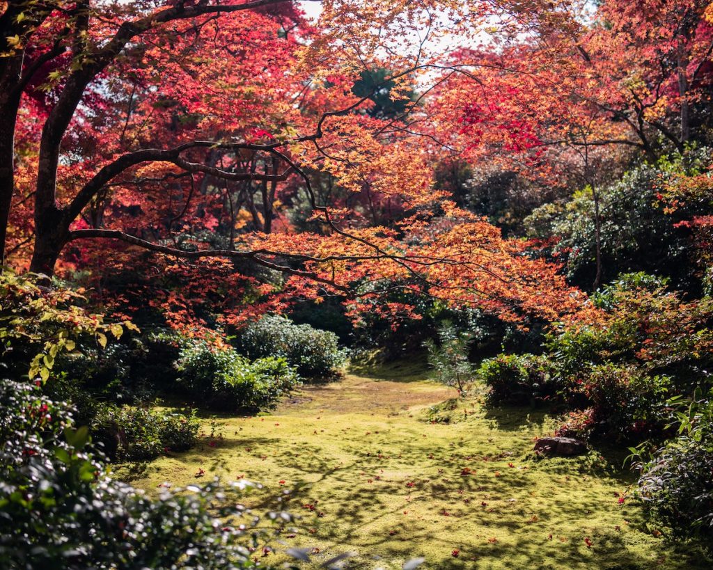 kyoto podzim
