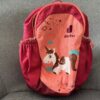 deuter pico recenze