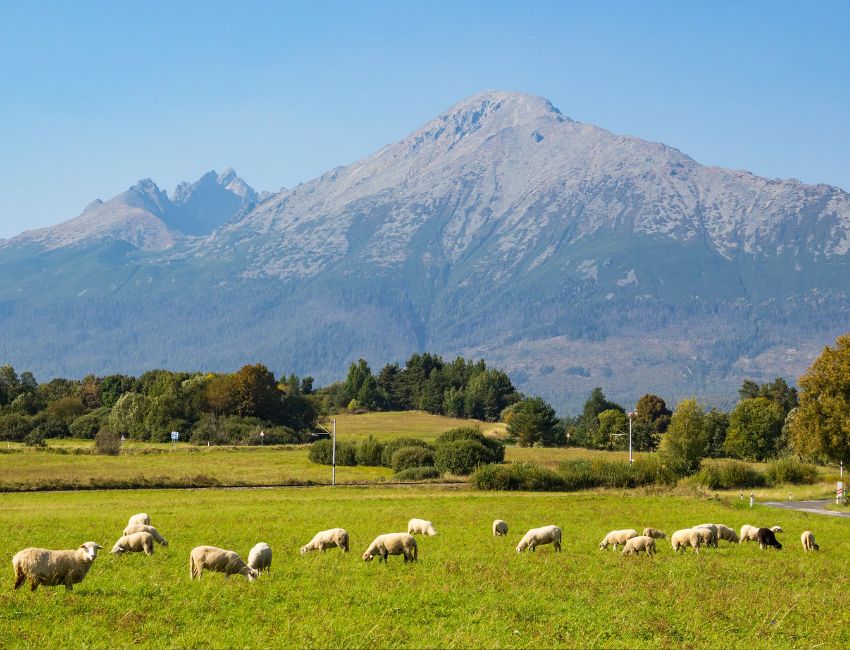vysoke tatry dovolena